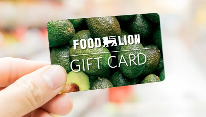 Food Lion Gift Card